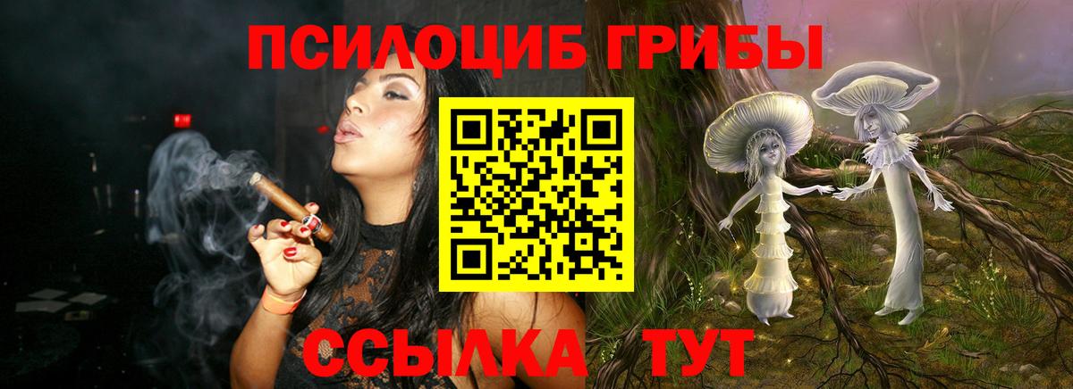 Боровичи  Псилоцибиновые грибы GOLDEN TEACHER  Вход с VPN  Псилоцибиновые грибы GOLDEN TEACHER 